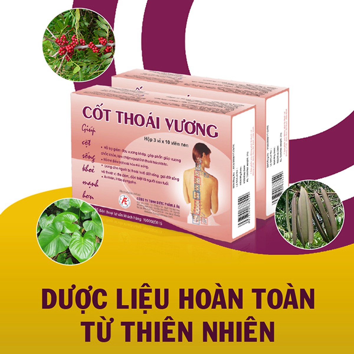 Cốt Thoái Vương Á Âu (H/30v)