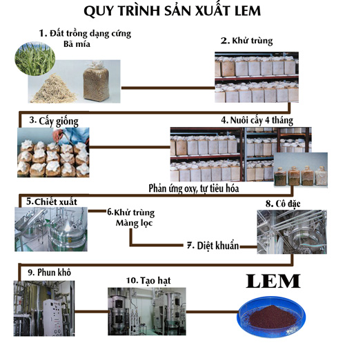 LEM Granule 0,72 (hỗ trợ điều trị ung thư)