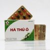 Thuoc Dong Y Thien Tam Binh Duong 40